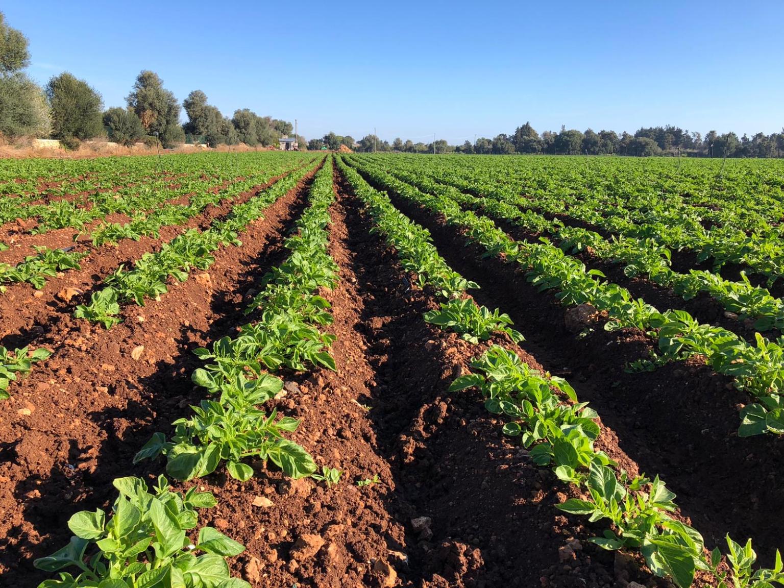 Sistemi di gestione integrati ambiente e sicurezza