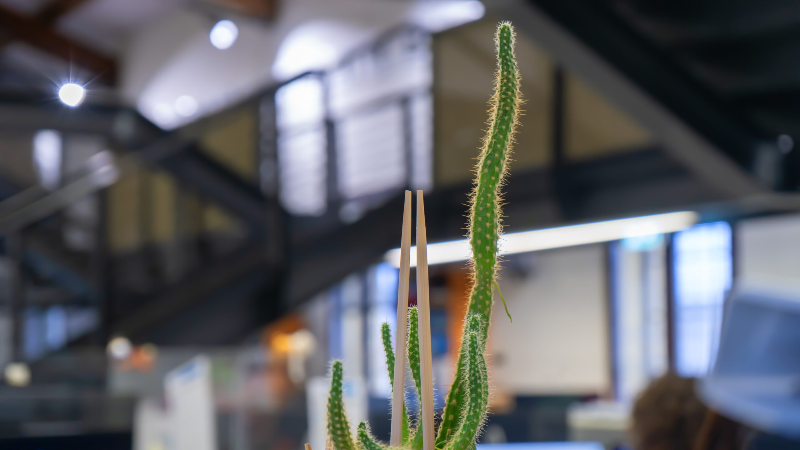 MUD 2026 – pubblicato il decreto, scadenza al 3 luglio